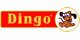 Dingo