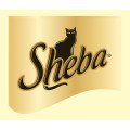 Sheba