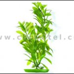 Hygrophila 13-16cm