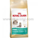 Royal Canin FBH Kitten Maine Coon 400g