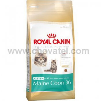 Royal Canin FBH Kitten Maine Coon 400g