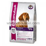 Eukanuba Daschhund Jezevčík 2,5kg