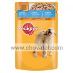 Pedigree kapsa Junior Kuřecí 100g