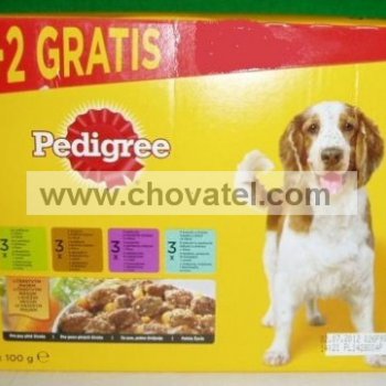 Pedigree 100g x 12ks kapsa adult