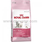 Royal Canin FHN Kitten 36 400g