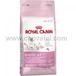 Royal Canin FHN Babycat 400g