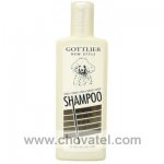 Gottlieb shampoo bílý pudl 300ml