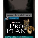 Purina Pro Plan Puppy Large Athletic Lamb+Rice 14kg