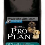 Purina Pro Plan Puppy Large Robust Chicken+Rice 14kg