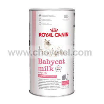 Royal Canin FHN Babycat Milk 300 g