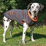 T-Coat dres Tours L 55cm