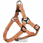 D-ring postroj MOJAVE 50-65/20 M