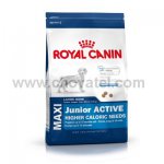 Royal Canin SHN Maxi Junior Active 4kg