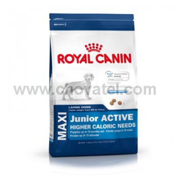 Royal Canin SHN Maxi Junior Active 4kg