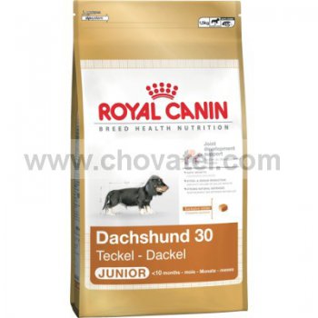 Royal Canin BHN Dachshund Junior 1,5kg