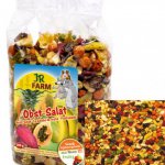 JR Farm Snack - Ovocný salát 200g
