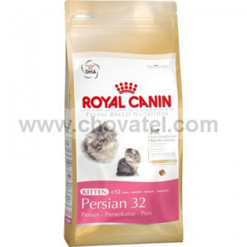 Royal Canin FBN Kitten Persian 10kg