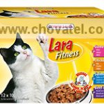 Lara Fitness Multipack B 12x100g