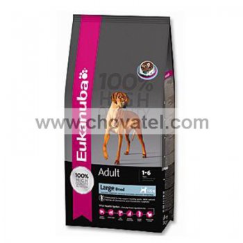 Eukanuba Adult Large 15kg