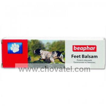 Mast na packy 40ml
