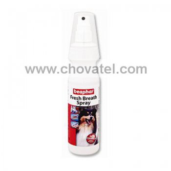 Sprej Fresh Breath 150ml