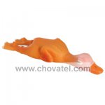 Mini latexová kačenka 14cm