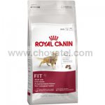 Royal Canin FHN Fit 32 400g