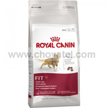 Royal Canin FHN Fit 32 400g