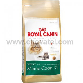 Royal Canin FBN Main Coon 10kg
