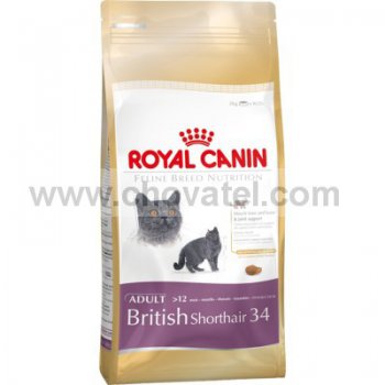 Royal Canin FBN British shorthair 10kg