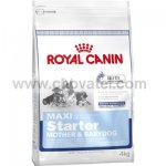 Royal Canin SHN Maxi Starter 1kg