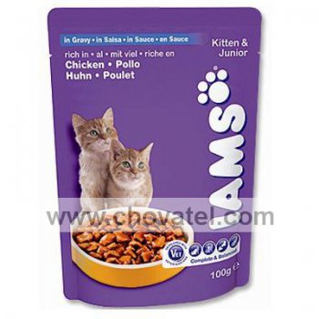 Iams Cat Kitten 100g kapsička