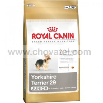 Royal Canin BHN Yorkshire Junior 500g