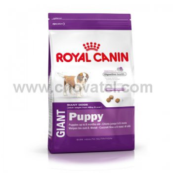 Royal Canin SHN Giant Puppy 1kg