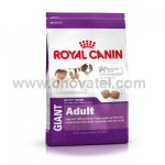 Royal Canin SHN Giant Adult 15kg