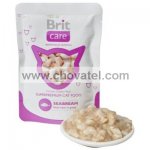 Brit Care Cat kapsa Seabream Pouch 80g