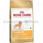 Royal Canin BHN Poodle 500g