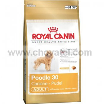 Royal Canin BHN Poodle 7,5kg