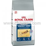 Royal Canin Cyno Energy 4300 15kg