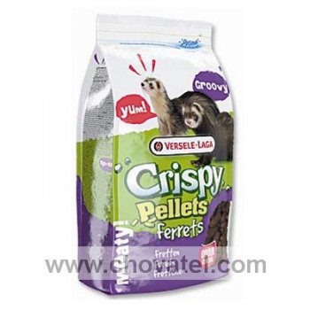 Krmivo Crispy Pellets pro fretky 700g