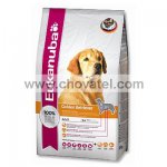 Eukanuba Golden Retriever 12kg