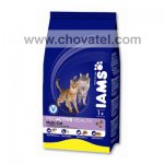 Iams Multicat Chicken / Salmon 15kg