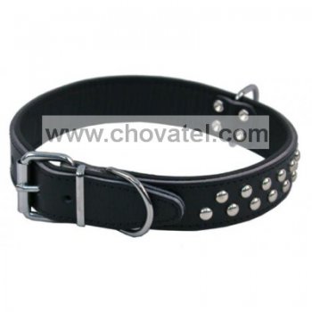 Obojek kožený BONNY, zdobený 30mm x 45cm černá