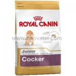 Royal Canin BHN Cocker junior 1kg