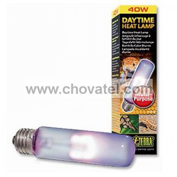 Žárovka EXO TERRA Daytime Heat 40W