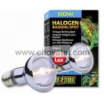 Žárovka EXO TERRA Halogen Basking Spot 50W