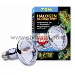 Žárovka EXO TERRA Halogen Basking Spot 75W