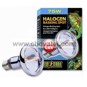 Žárovka EXO TERRA Halogen Basking Spot 75W