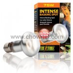 Žárovka EXO TERRA Intense Basking Spot 75W