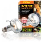 Žárovka EXO TERRA Intense Basking Spot 100W